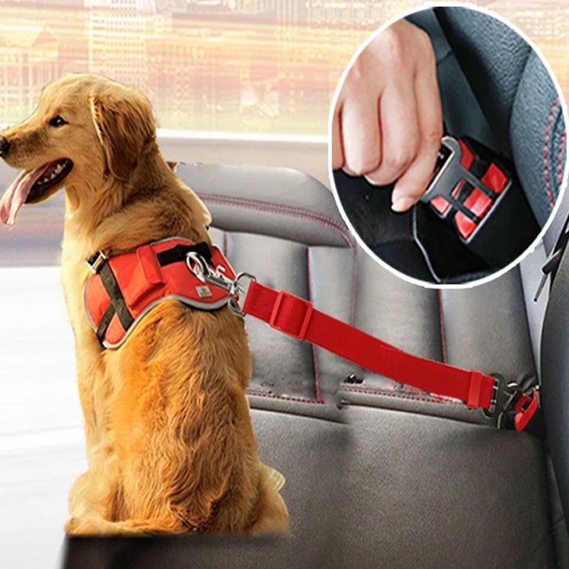 PetVibe™ Universal Safety Seat Belt for pets, adjustable car travel lead, shown attached to a dog harness in a vehicle.