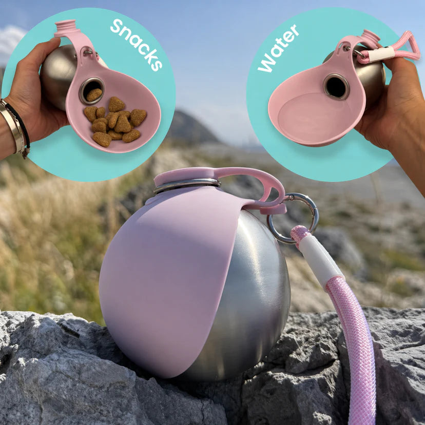 Insulated stainless steel PetVibe™ travel dog water bottle with attached bowl for easy hydration on outdoor walks.